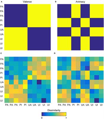 Individualizing Representational Similarity Analysis